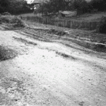 ciobanu4