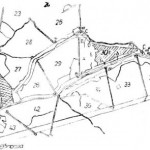 pascovici2