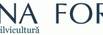 antet8.gif