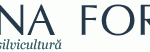 antet81.gif