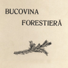 bf_final