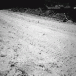 ciobanu5